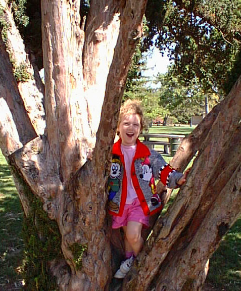 Shosh Stuck in a Tree