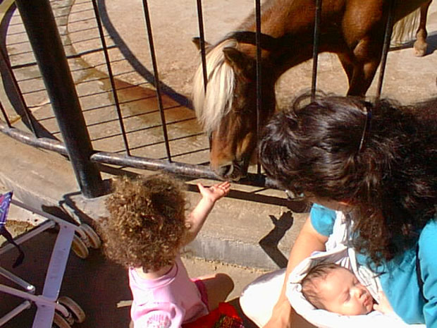 Still more feeding the horses