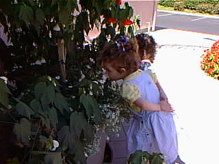 Taking time to stop and smell the flowers